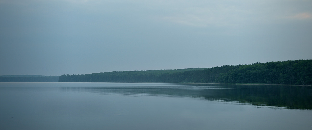 Banner image of Bloomfield Hills