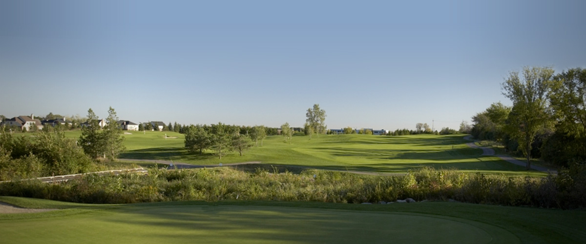 Banner image of Livonia 